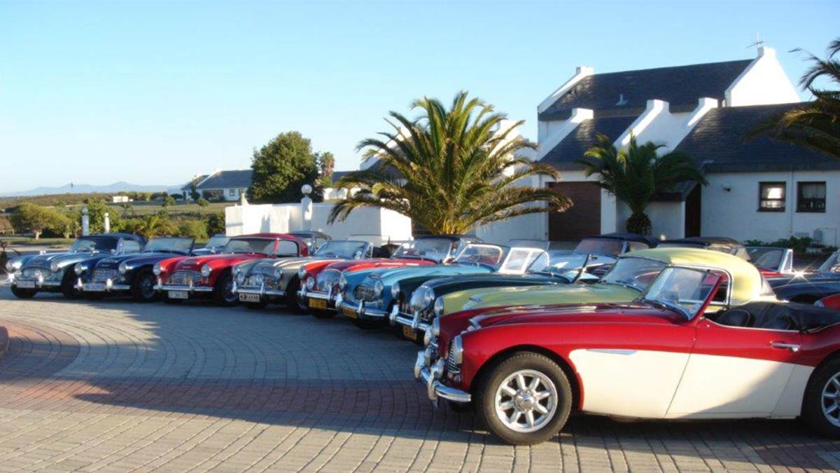 Southern Austin-Healey Club Garden Route Event