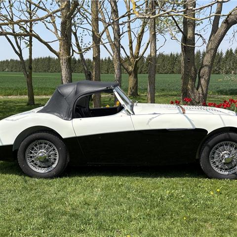 Big Healey