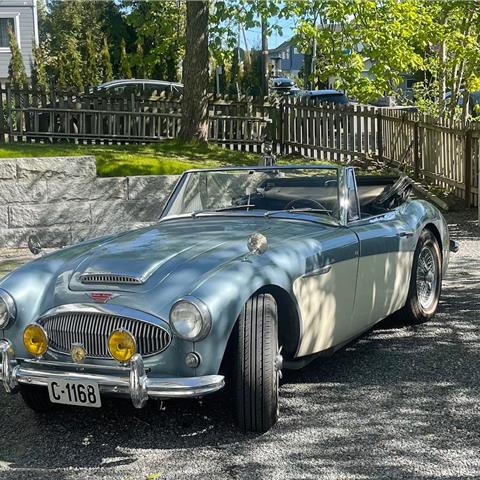 Big Healey