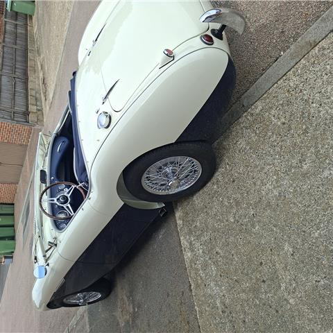 Big Healey