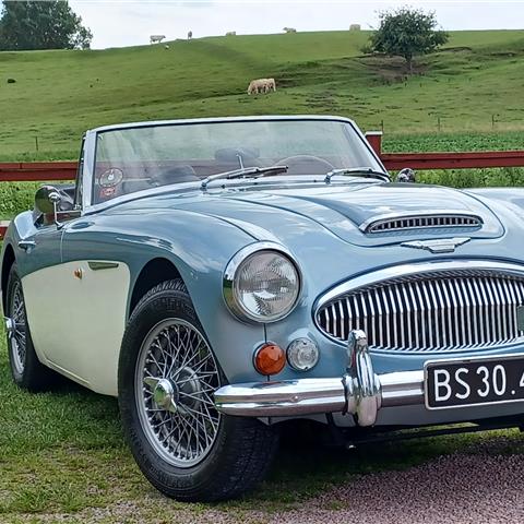 Big Healey