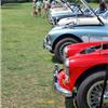 Line of Big Healey's at Conclave 2023