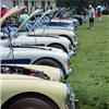 White and cream coloured Austin Healey's at Conclave 2023