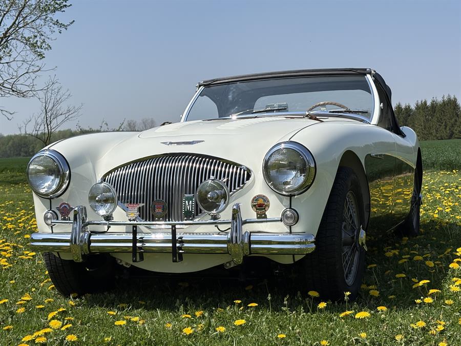 <h1>For Sale - 1956 Big Healey, 100 "M", SOLD</h1>