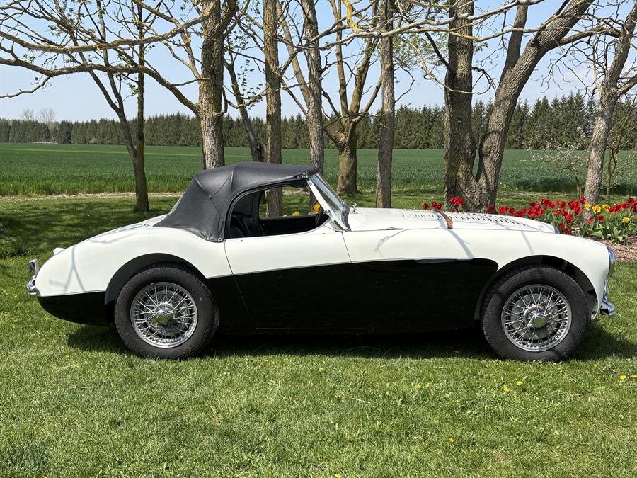 <h1>For Sale - 1956 Big Healey, 100 "M"</h1>