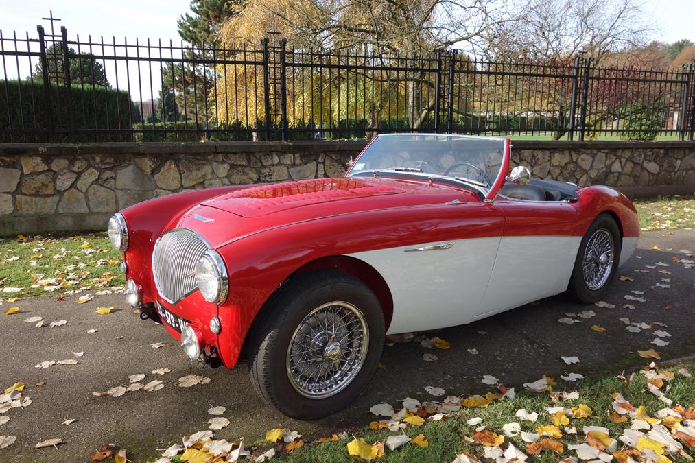 <h1>For Sale - 1956 Big Healey, 100, 0680076790</h1>