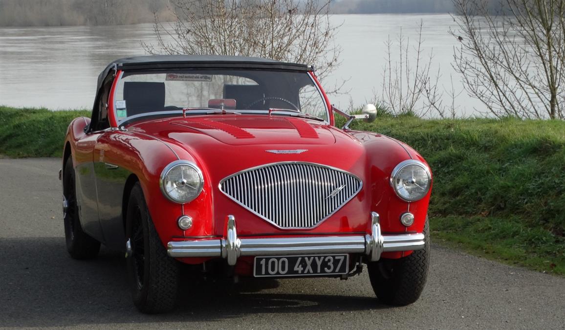 <h1>For Sale - 1955 Big Healey, 100, BN1</h1>