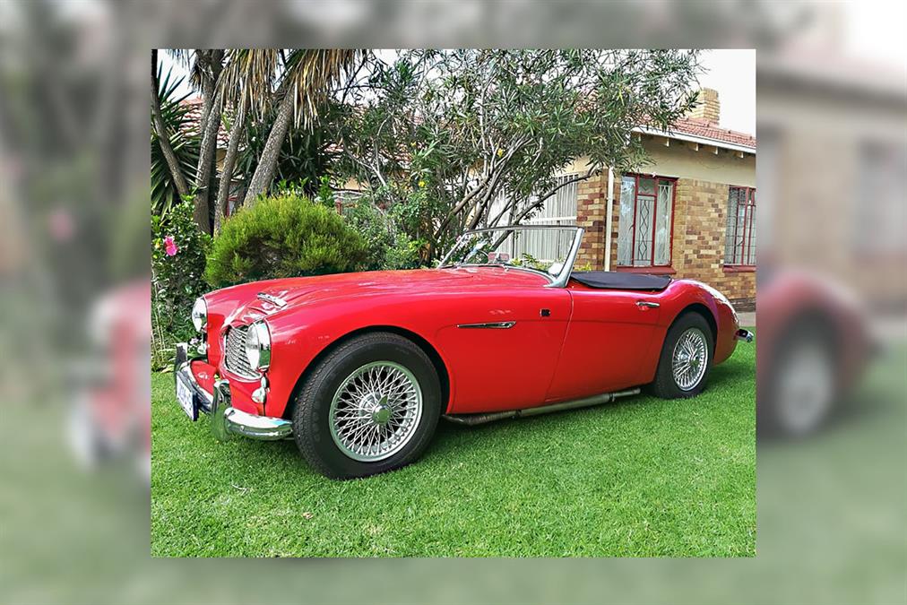 New Listing! 1953 Austin Healey 100-4 | USA