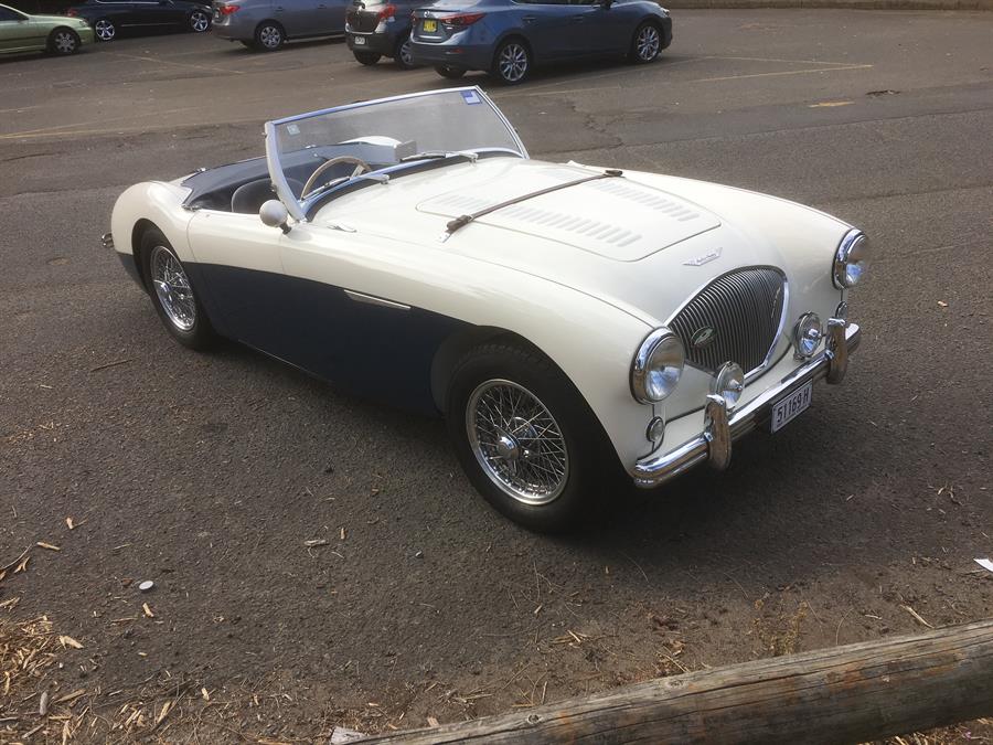 <h1>For Sale - 1956 Big Healey, 100, BN2</h1>