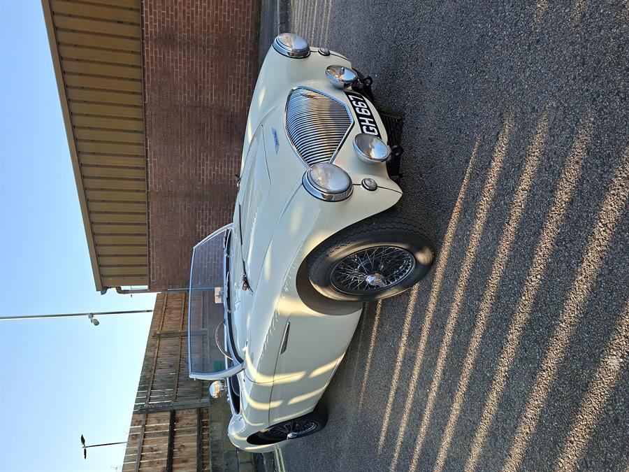 <h1>For Sale - 1955 Big Healey, 100 "M", BN1</h1>