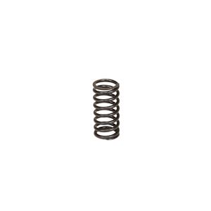 Buy Valve Spring - Inner Online