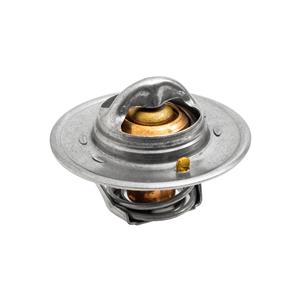 Buy Thermostat Online