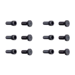 Buy 12-Bolt Steel Crank Flywheel Bolt Kit Online