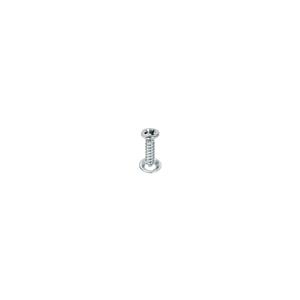Buy Screw & Cup Washer - filler neck cover panel | USE TRP250 Online