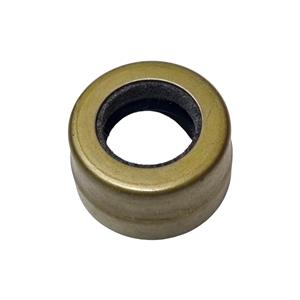 Buy Oil Seal - Rear Online