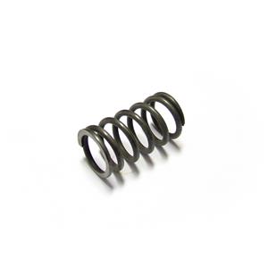 Buy Valve Spring - Outer Online