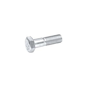 Buy Pinch Bolt - Shock Absorber Arm Online