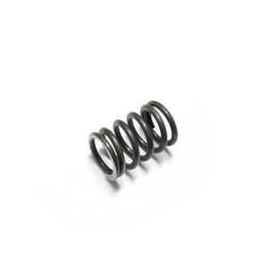 Buy Valve Spring - Outer Online