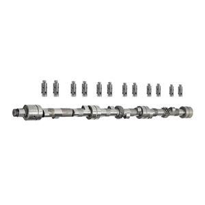 Buy Camshaft Kit - Fast Road - AHP1 Online