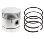 Piston Assy. (set of 6) - STD.