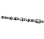 Camshaft - (new) - BJ8 Spec