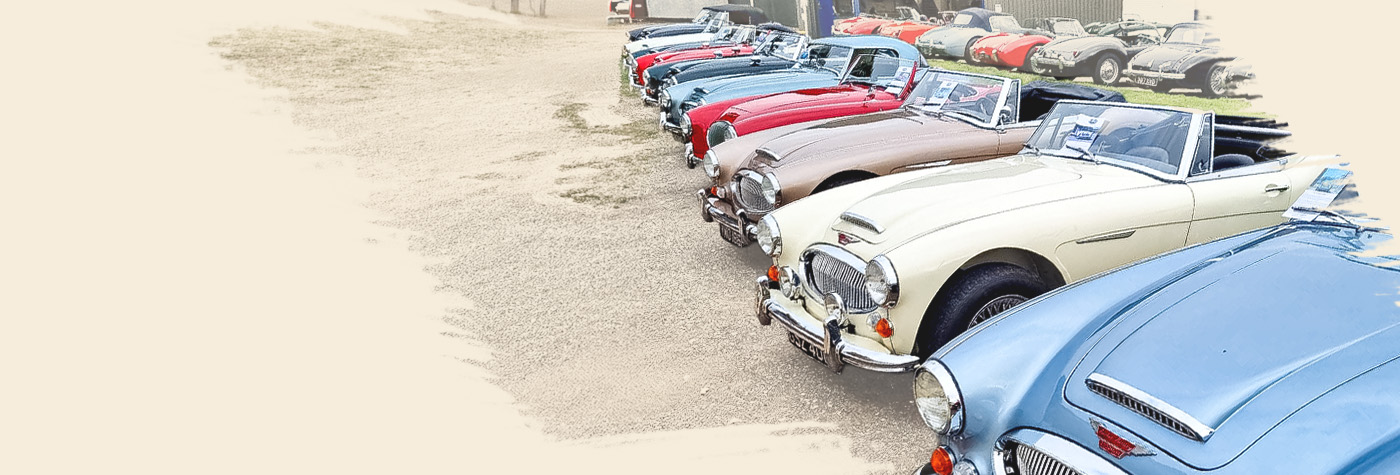A H Spares van with branded flag beside a line of classic Austin Healey cars
