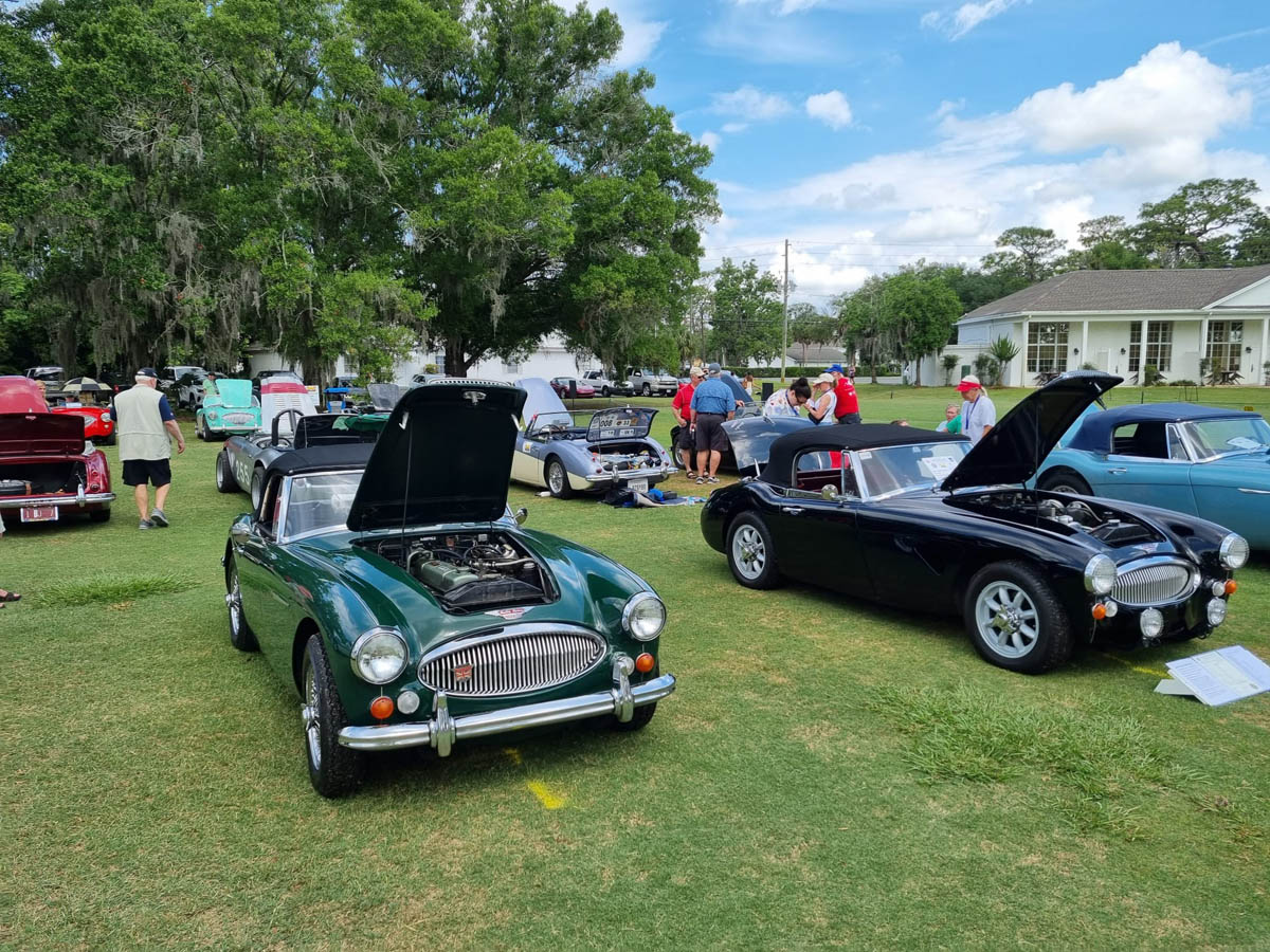 Austin Healey's lined up at the Popular Car Show at Conclave 2023 in Florida