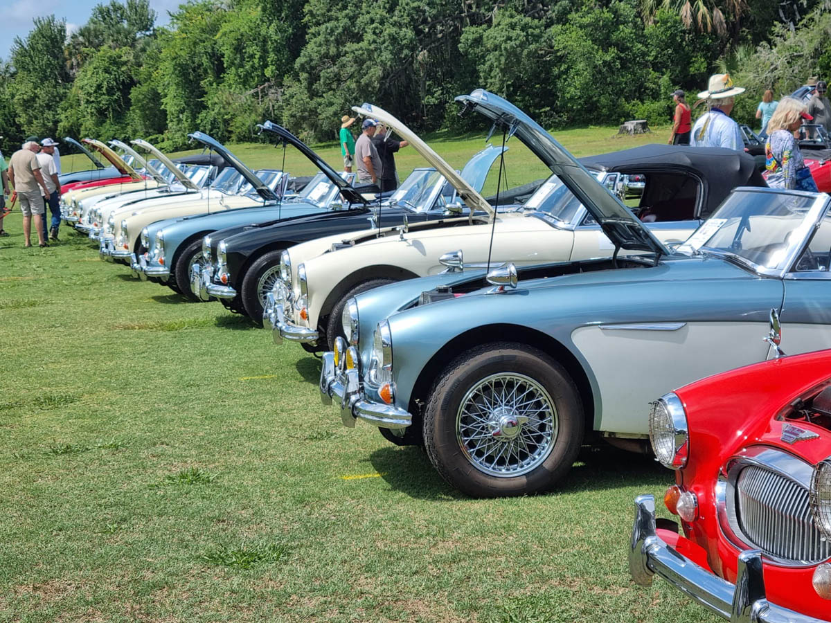 Line of Austin Healey's