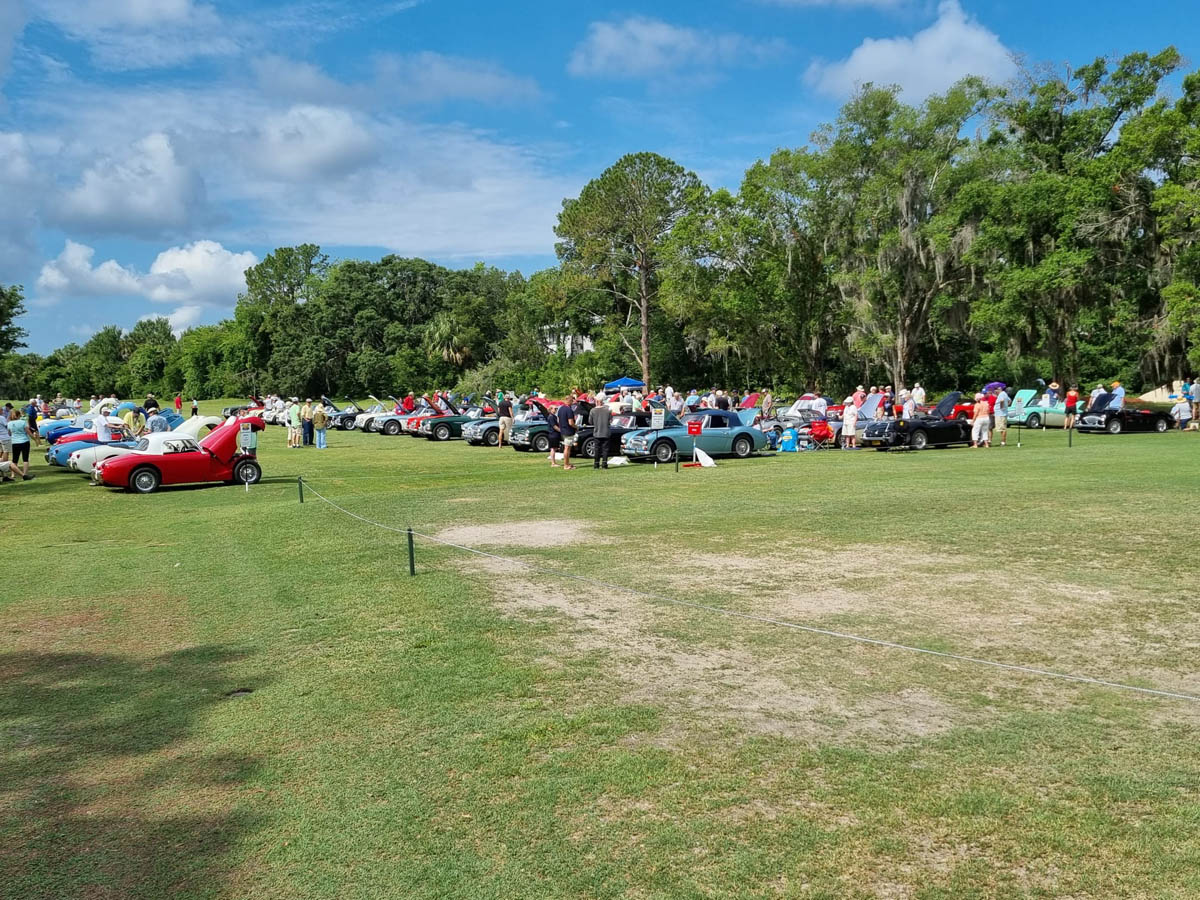 Large Austin Healey gathering under the Florida sun
