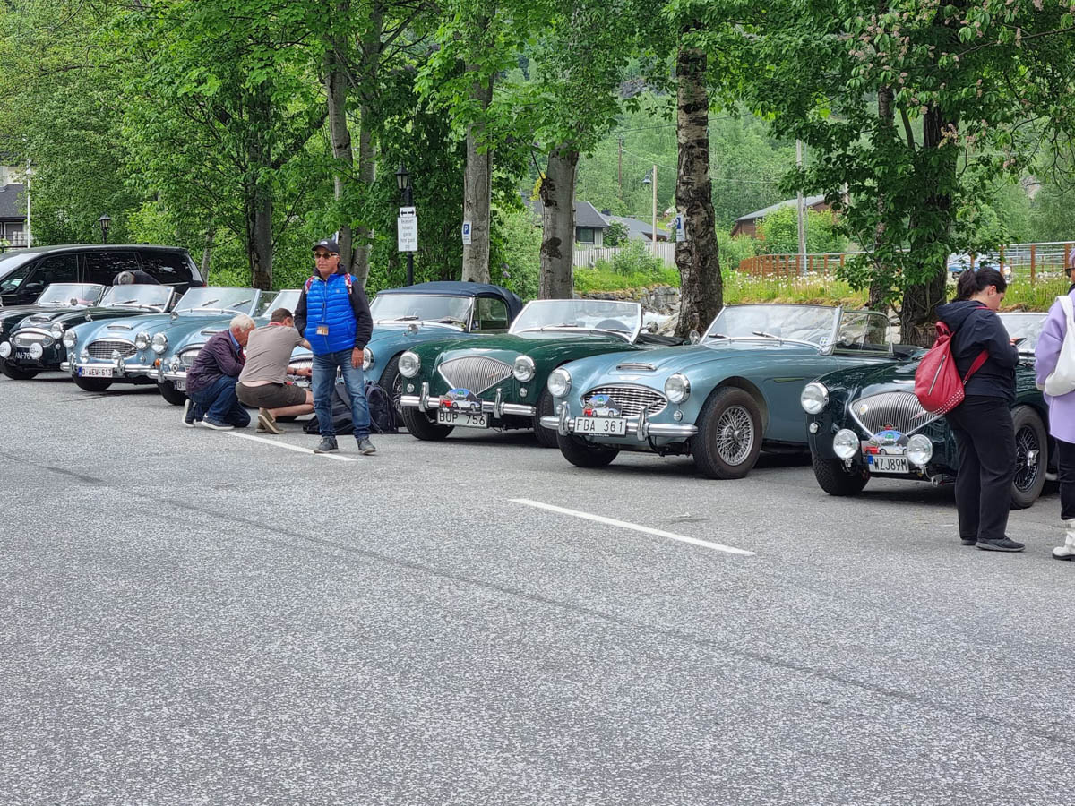 Line of Austin Healeys parked outside the Union Hotel in Norway for the 6th European Healey Meet 2023