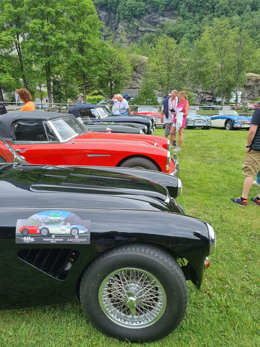 Line of Austin Healey's at the EHM 2023 People's Choice Award