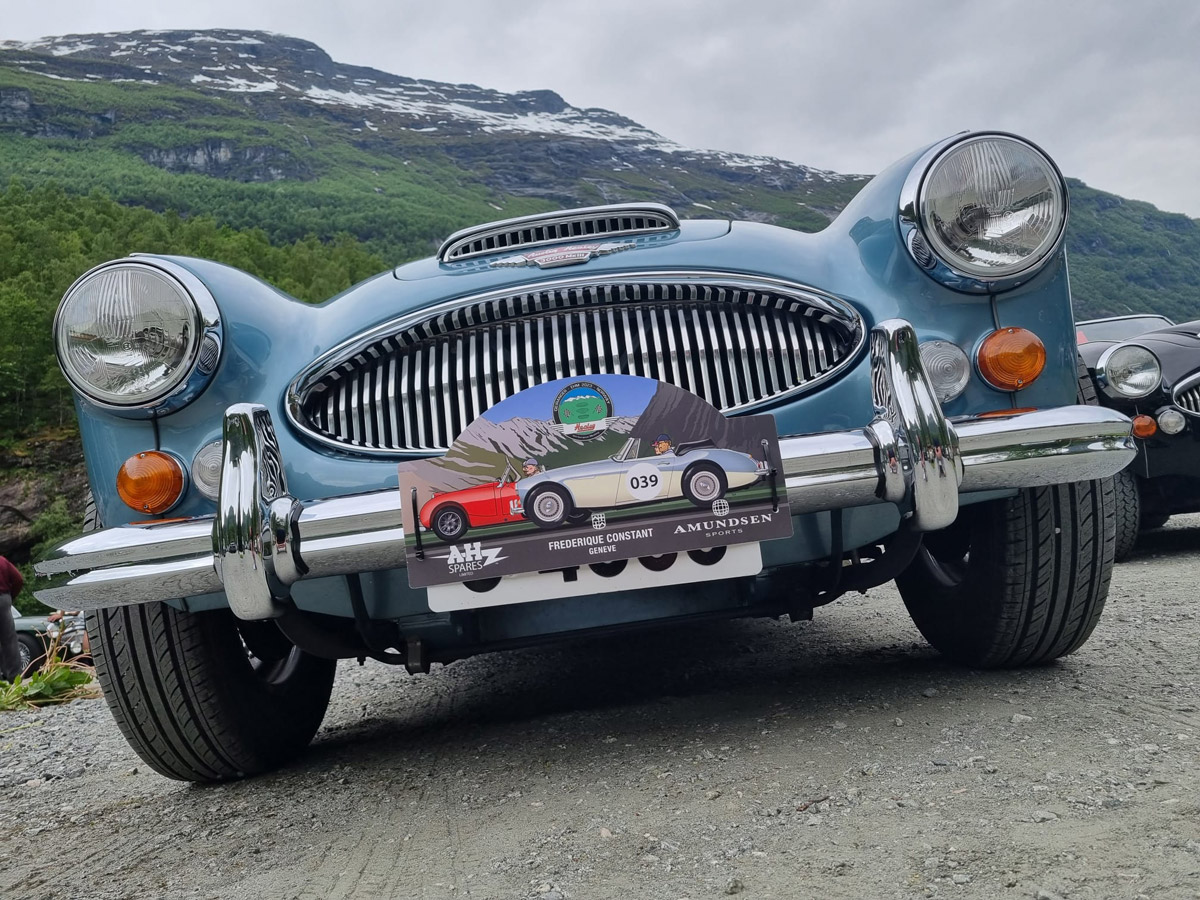 European Healey Meet 2023 Day 2 - Austin Healey's at EMH 2023 People's Choice Car Award