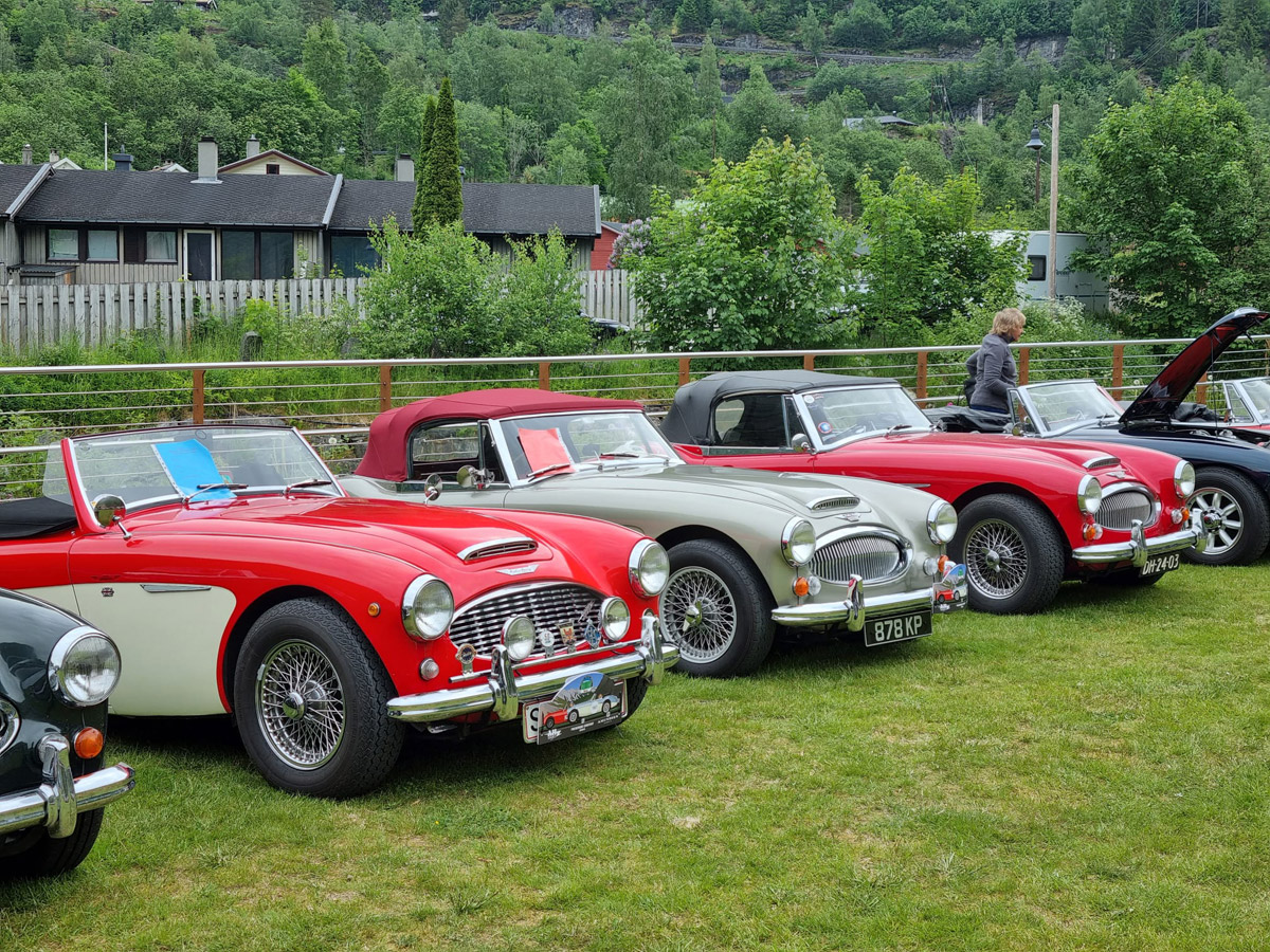Line of Big Healey's at the EHM 2023 People's Choice Award