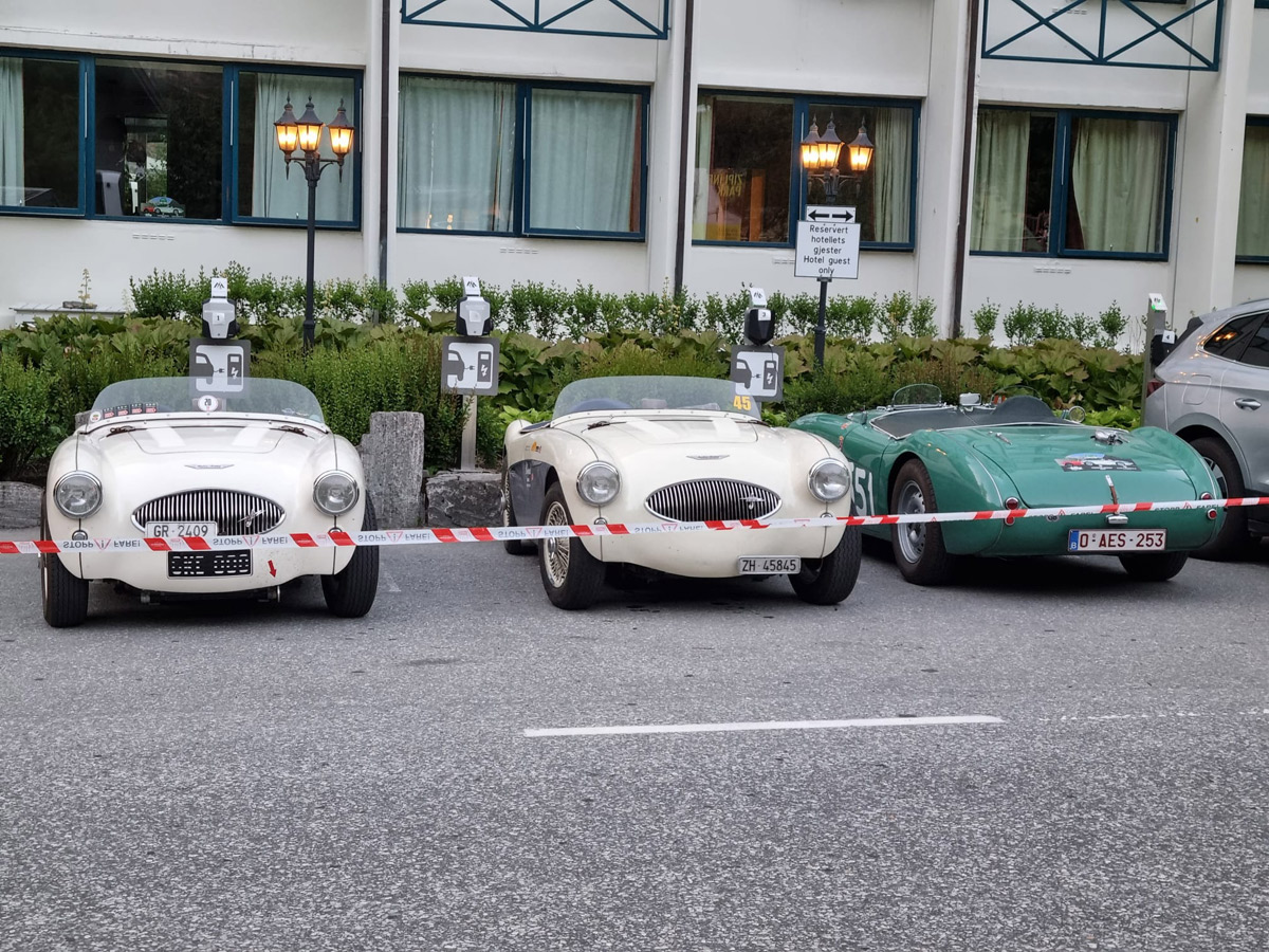 Line up of Austin Healey 100/S and green Austin Healey 100