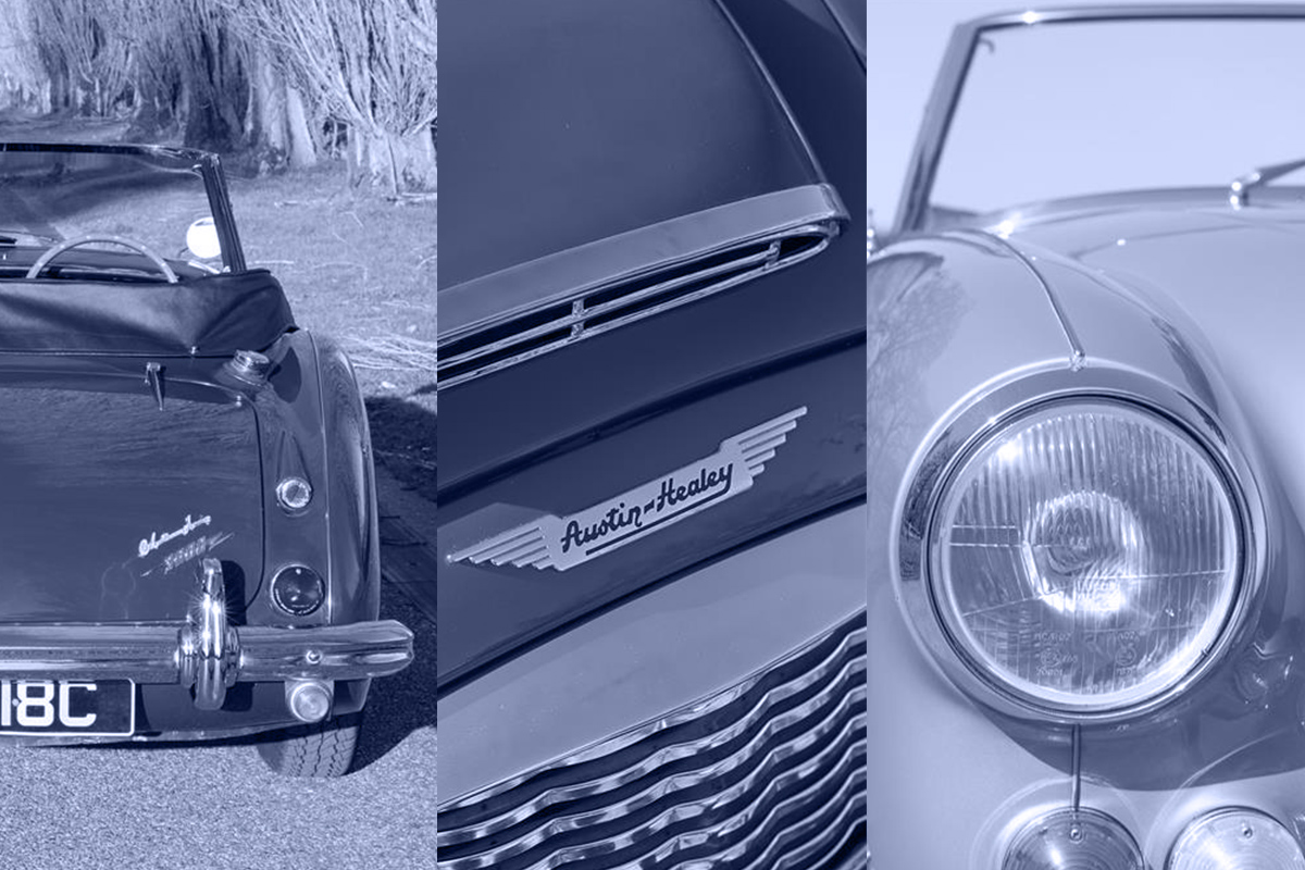 Austin Healey collage