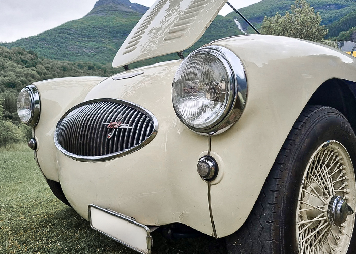 Austin Healey 100S