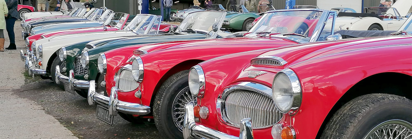 Line of Austin Healeys at Rawles Motorsport Open Day 2024