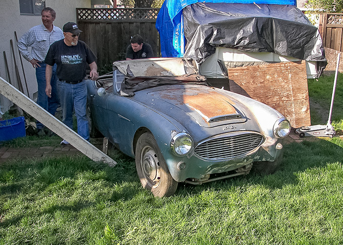 The 1961 Austin Healey 3000 standing in the garden where it had been parked since 1980