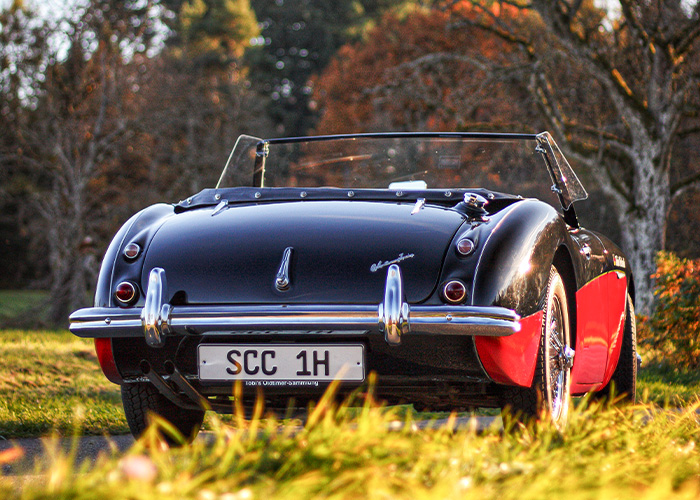 Rear view of Tobias Olschewski's restored Austin Healey 100/6